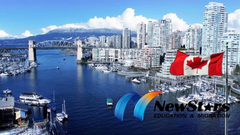 29 “Star Occupations” With an Exclusive Fast Track to Migrate to Canada! One Applicant Got an Offer in 2 Weeks and a Nomination in 3 Months!