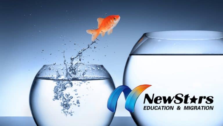 NSW 491 February Invitation Surge: Surprising Yet Inevitable — Is There Still a Chance? Worth the Attempt? Will It Last?